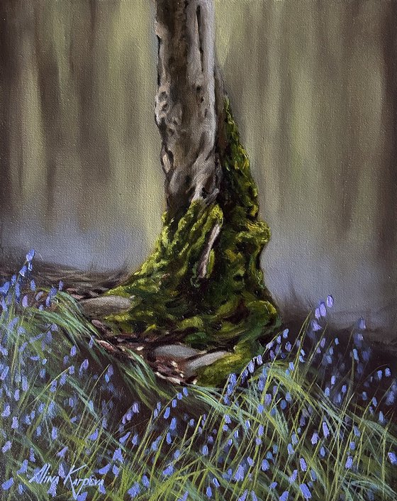 The tree and the bluebells