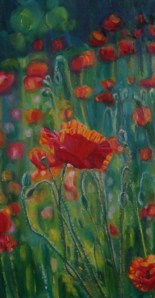 Poppy meadow by Olga Knezevic