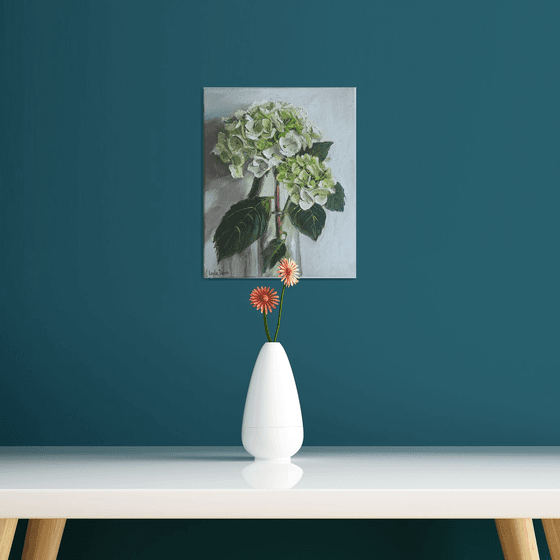 White hydrangea flower