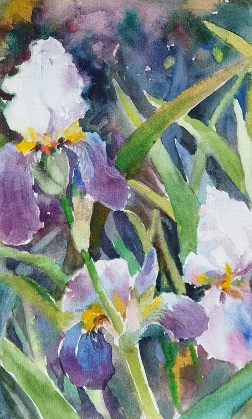 Wild irises by Ann Krasikova
