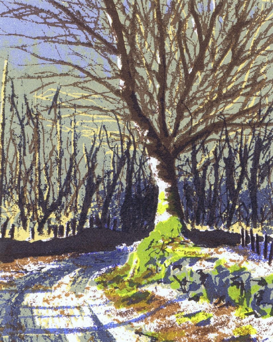 Winter Birch by Aidan Flanagan Irish Landscapes