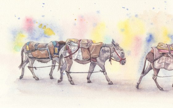 Three donkeys on the road