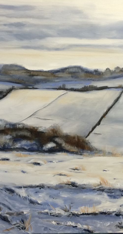 Morning snow Plumpton 2 by Cecilia Virlombier