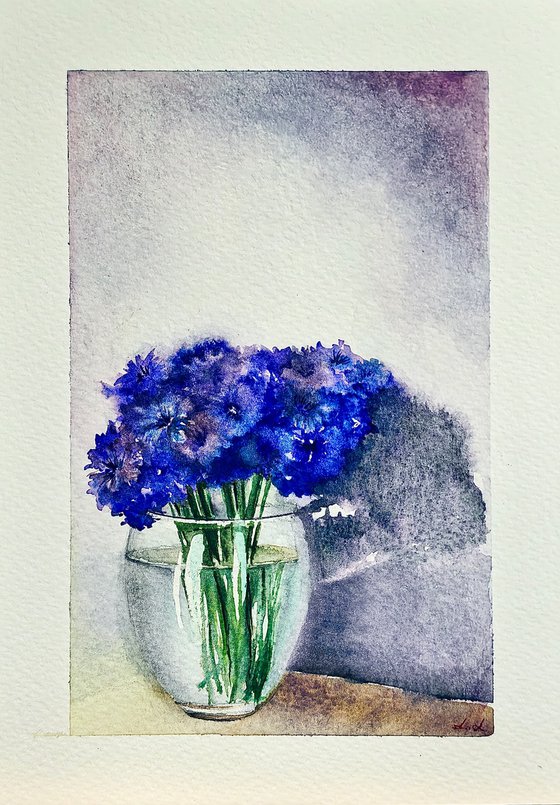 Cornflowers. 2