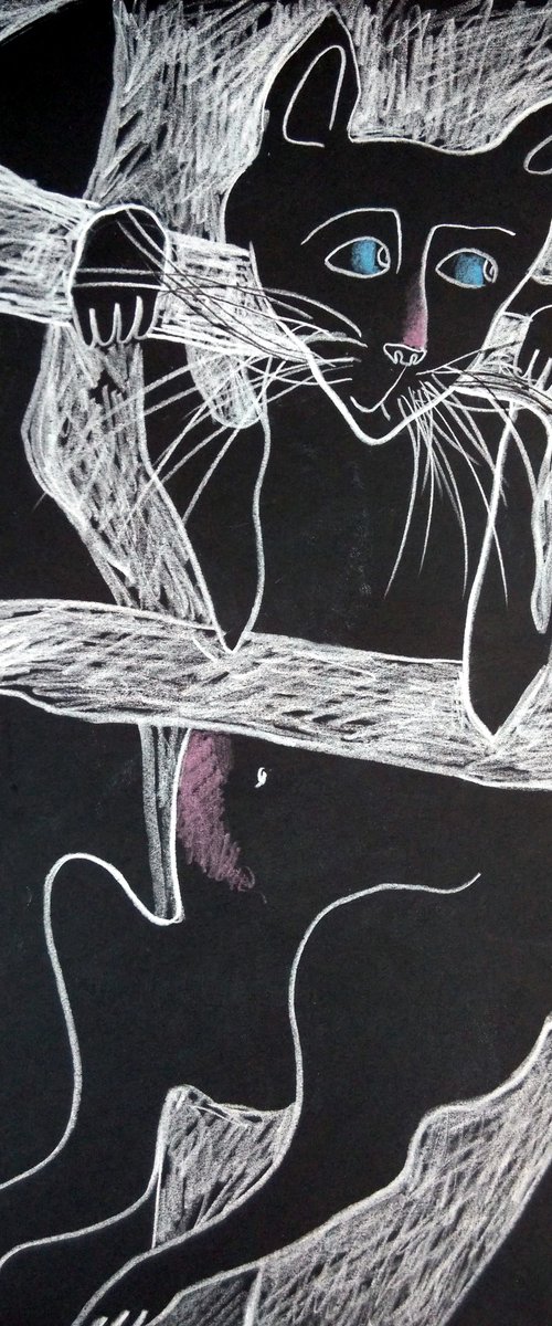WHERE TO? by Elisheva Nesis