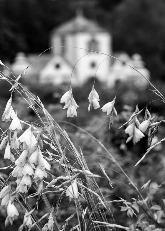 The Pin Mill - Bodnant Gardens