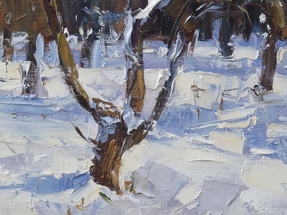 Winter apple garden
