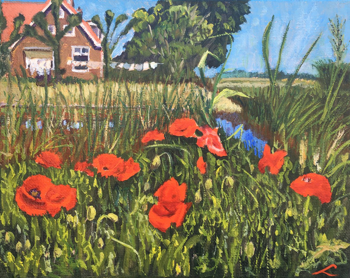 Landscape With Poppies 3 By Elena Sokolova, 20 X 16, Artwork For Sale On Artfinder