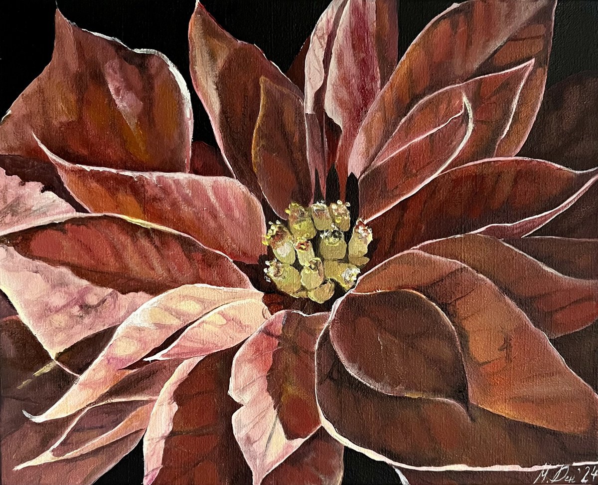 Photorealistic Oil Painting , Christmas Poinsettia By Myroslava Denysyuk, 9 X 8, Artwork For Sale On Artfinder