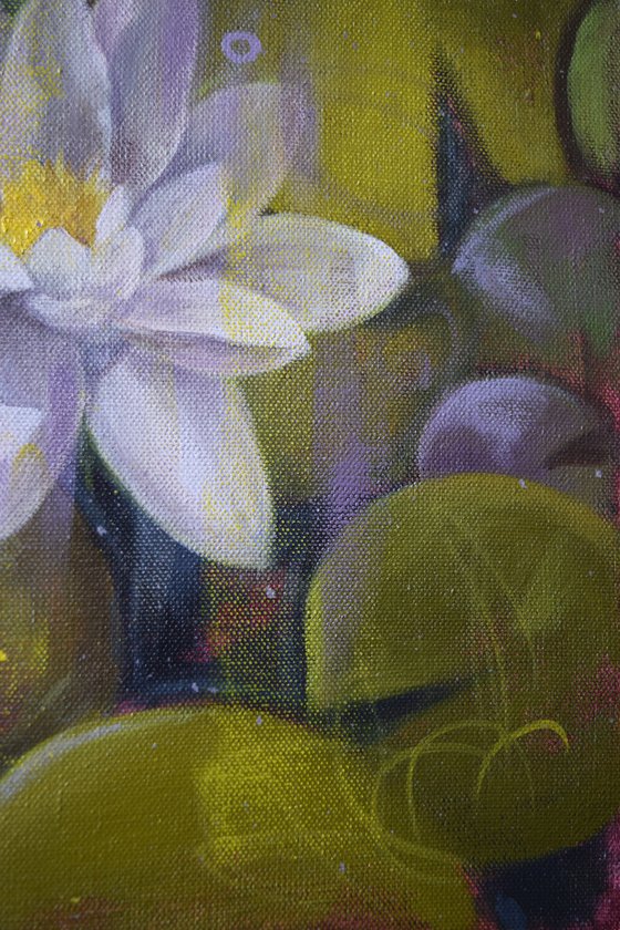 Water lilies