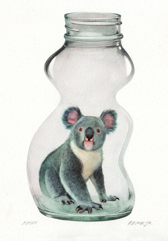 Koala in Jar