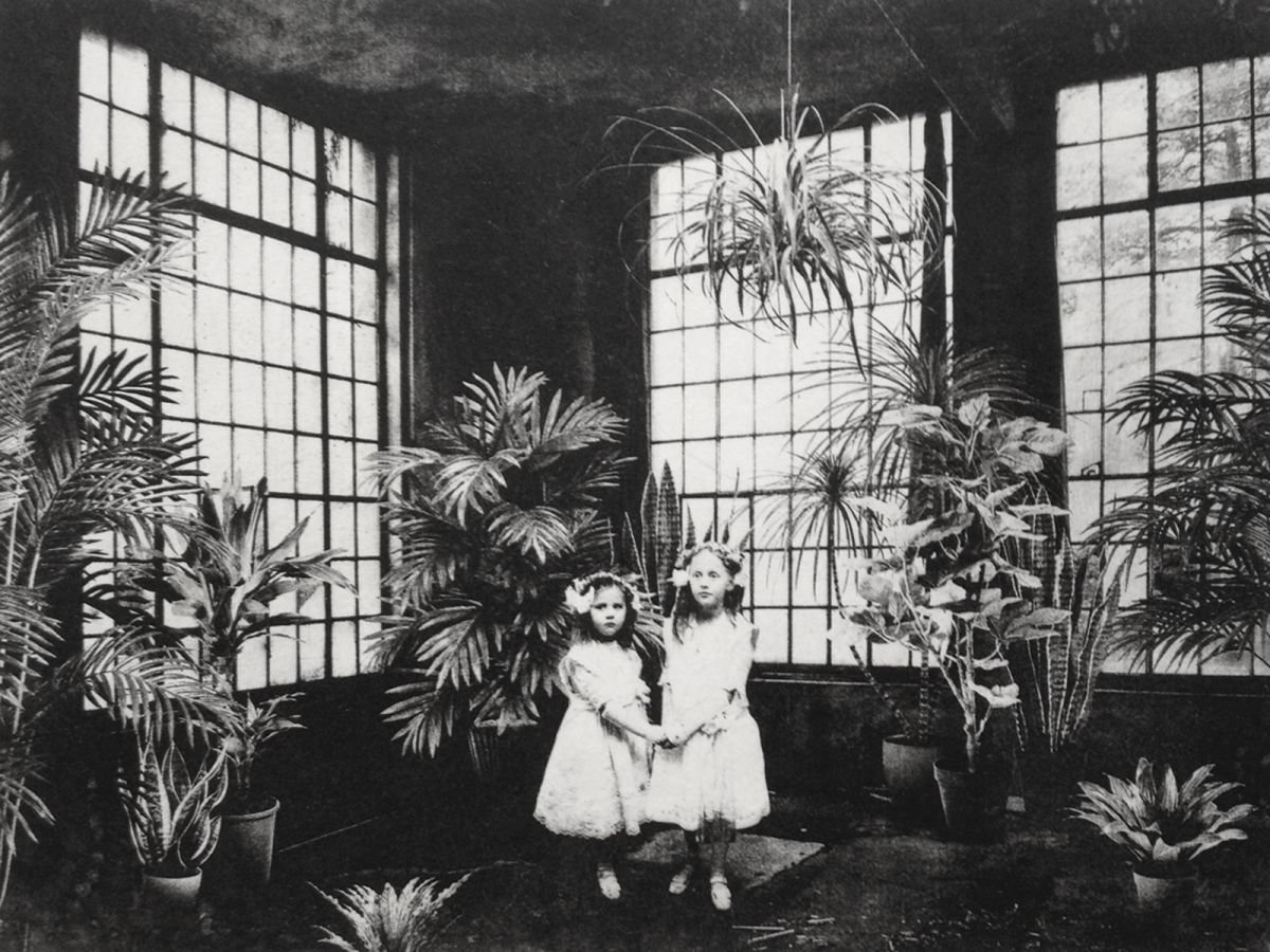 Photorealistic Botanical Etchings & Engravings By Jaco Putker, 13 X 10, Interior No.3, Original Artwork