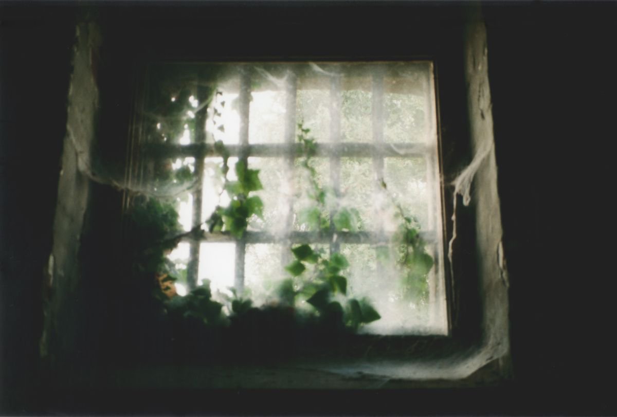 Photorealistic Still Life Photograph By Justice Hyde, 36 X 24", The Edge Of Existence - Unmounted, Original Artwork