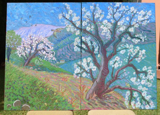 Almond blossom and goldfinches in the Andalucian mountains