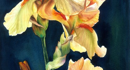 Artwork by Maryna Boiko