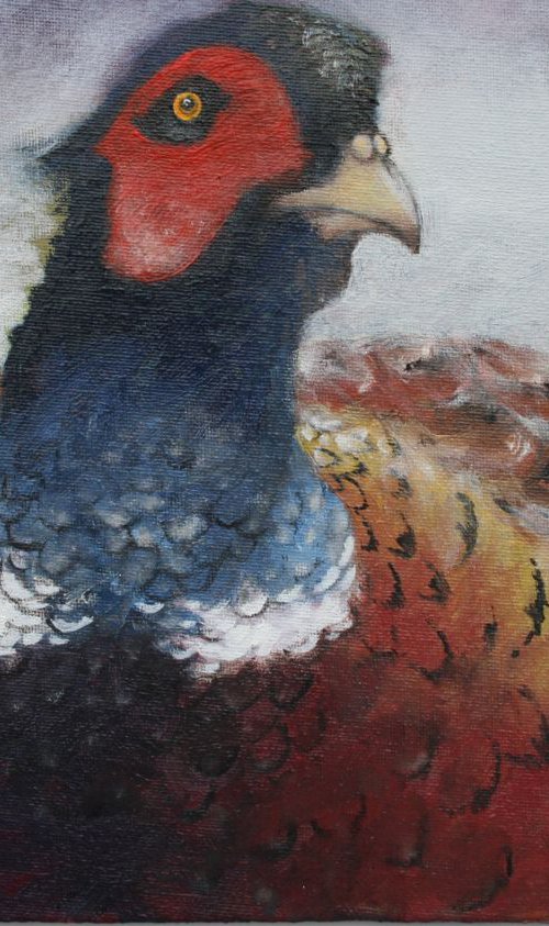 Pheasant Alert by Christopher Hughes