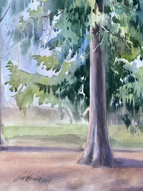 Pine