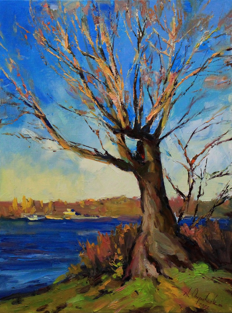 Impressionistic Landscape Oil Painting By Alisa Onipchenko-Cherniakovska, 18 X 24, Autumn Sun, Original Artwork