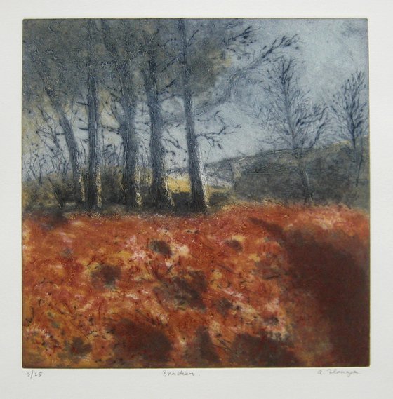 "Bracken" - Irish Landscape