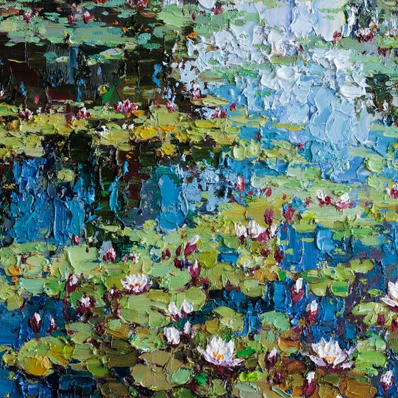 White Water Lilies in the Pond