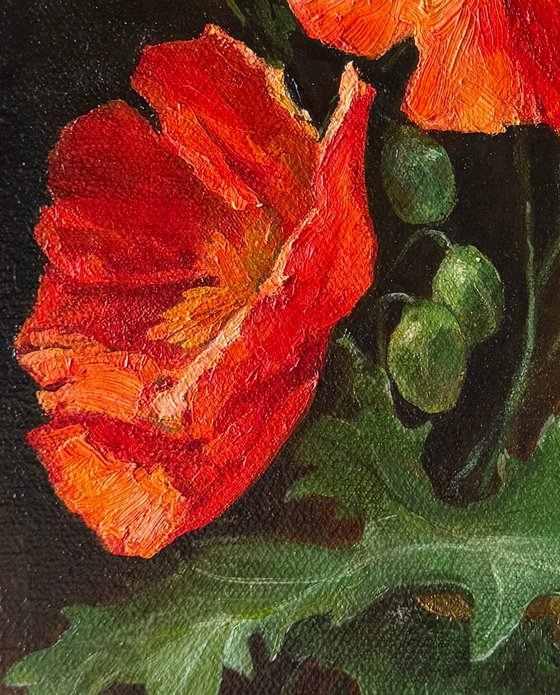 Poppies: Flame I ( Left Panel)
