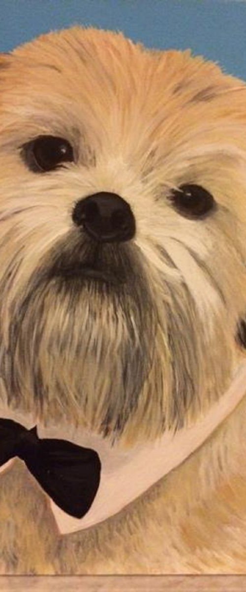 ROCKY -LHASA APSO (Commissioned Pet Portrait) by ELAINE ASKEW