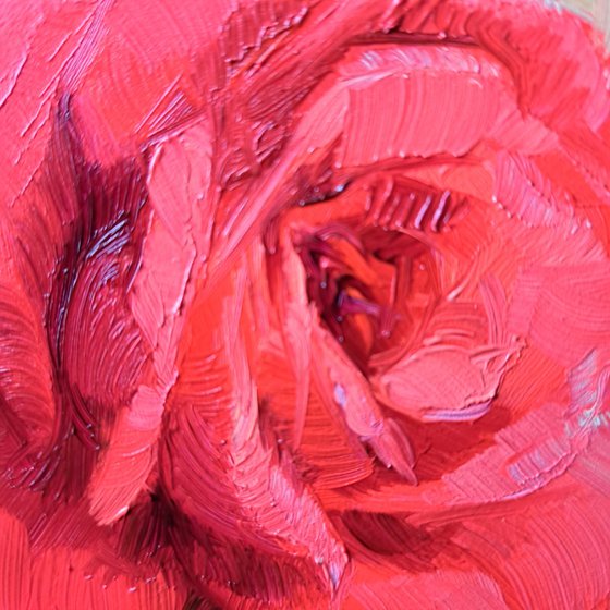 Red rose
