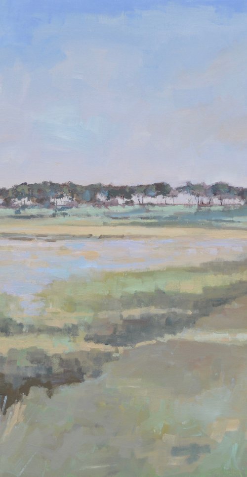 Holkham trees and shadows by Tom Cringle