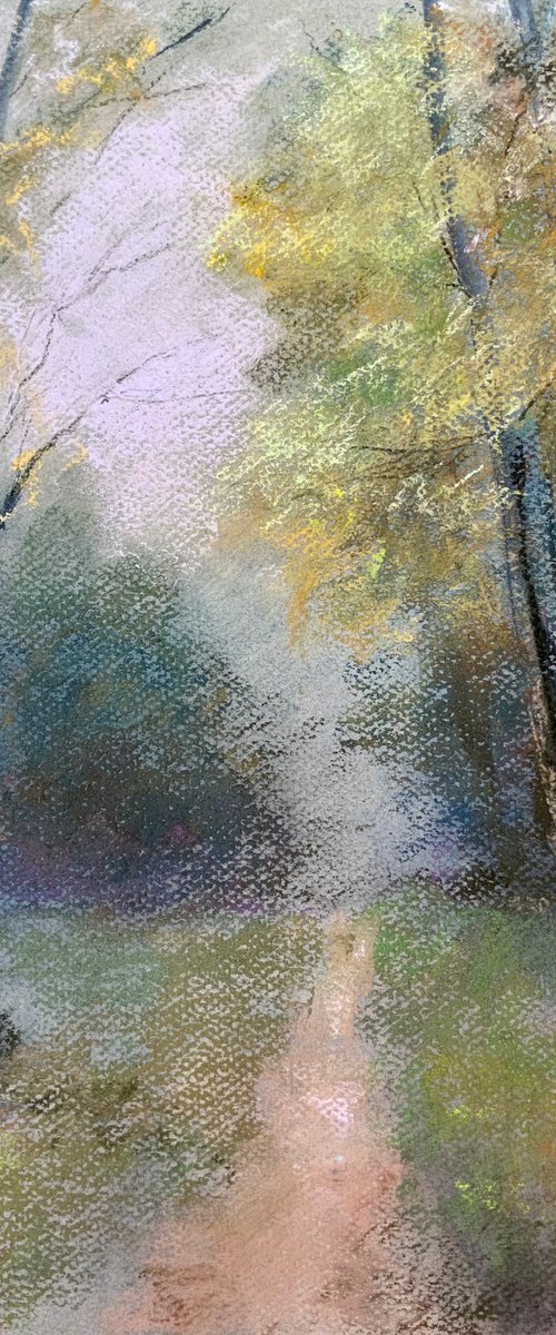 If Trees Could Talk by Jessica Davidson