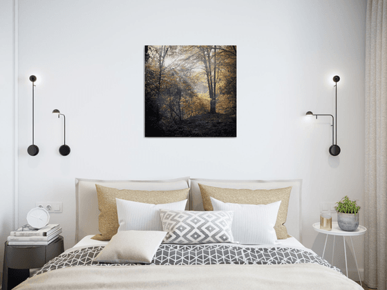 Lerryn woods during autumn