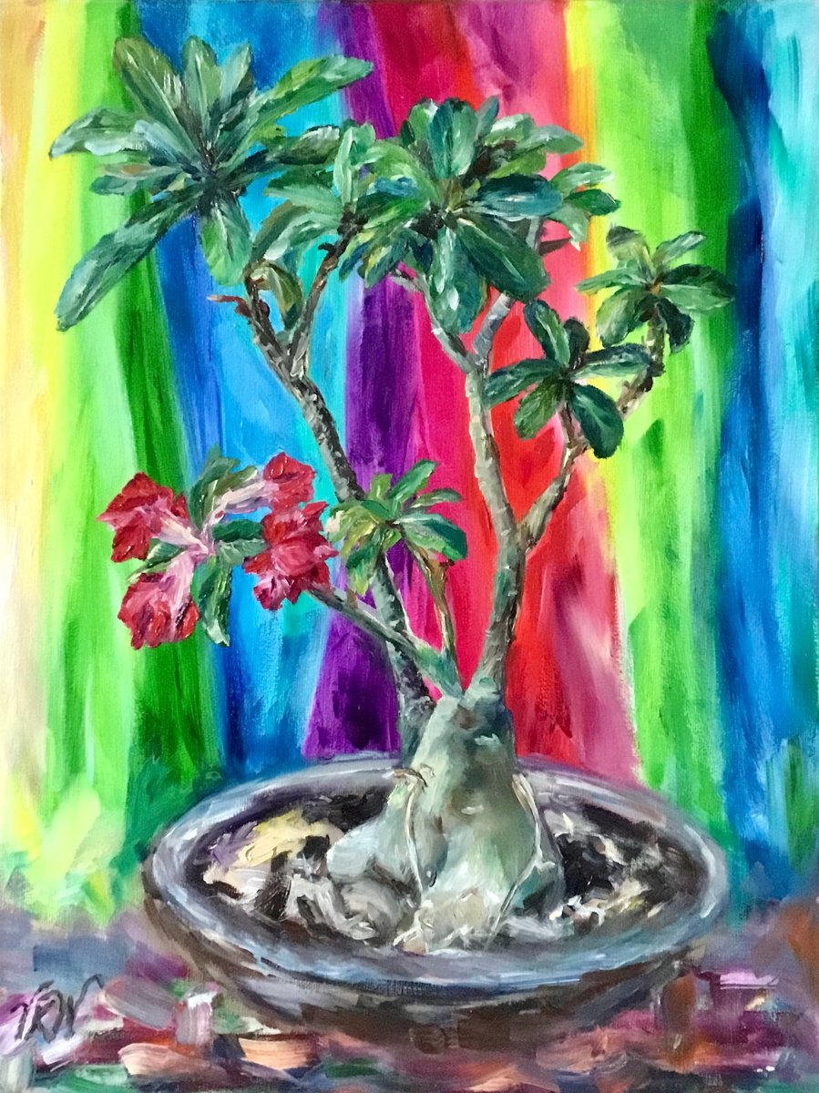 Desert Rose By Vera Klimova, 12 X 16, Artwork For Sale On Artfinder