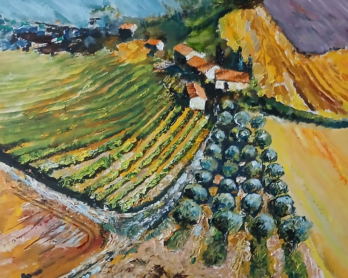 Vines &Amp; Olives By Chris Walker, 16 X 12, Artwork For Sale On Artfinder