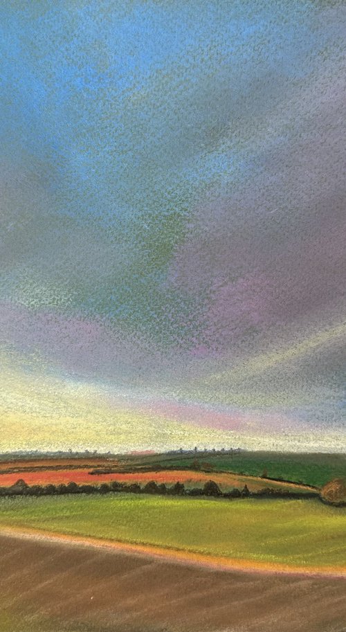 Evening Light Over Fields and Trees. Sunset - Landscape by Catherine Winget