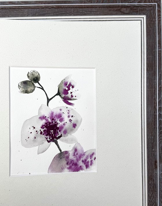 Twin Wild Orchid Purple