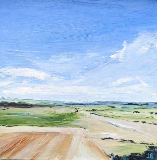 Tring view, Hertfordshire by Jo Earl