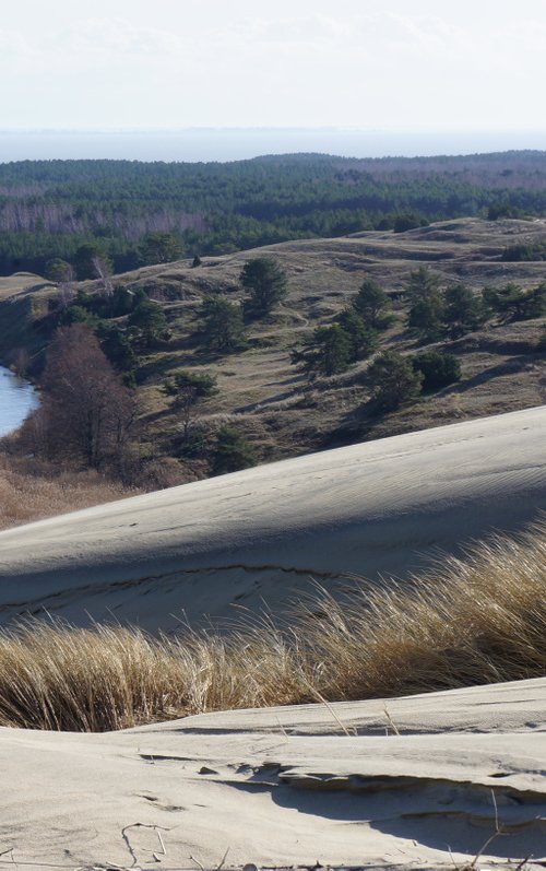 Photography | Dead dunes by Ruta UM