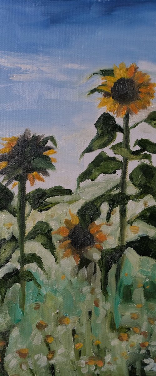 In the sunflower fields by Kerry Lisa Davies