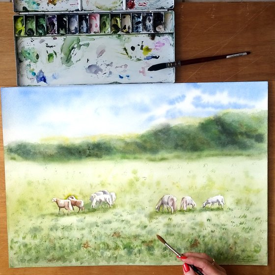 Sheeps in a field