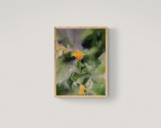 Squash Blossom