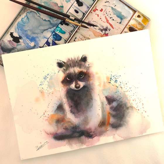 Raccoon