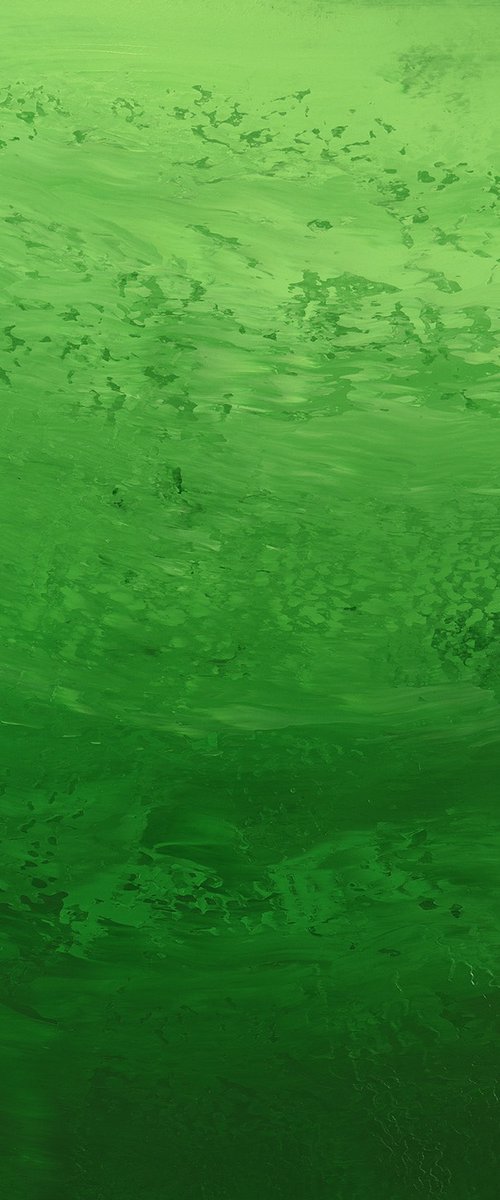 Leafy Green - Nature Abstract by Suzanne Vaughan