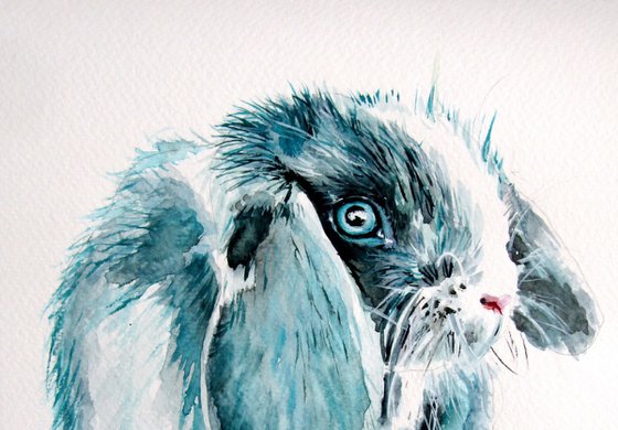 Cute rabbit