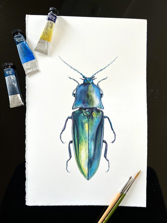 Blue longhorned beetle. Original watercolour artwork.