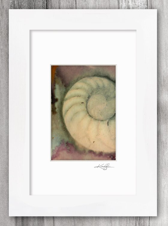 Nautilus Shell Collection 2 - 3 Small Matted paintings by Kathy Morton Stanion