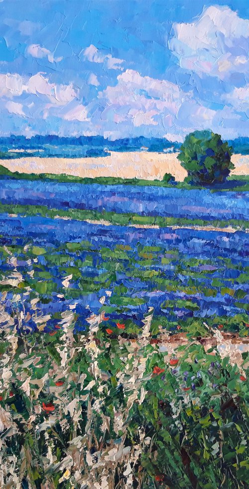 Lavender in Provence by Irena Heinz