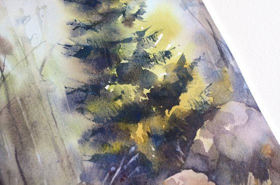 Lush spruce, Evergreen tree, Forest in watercolor
