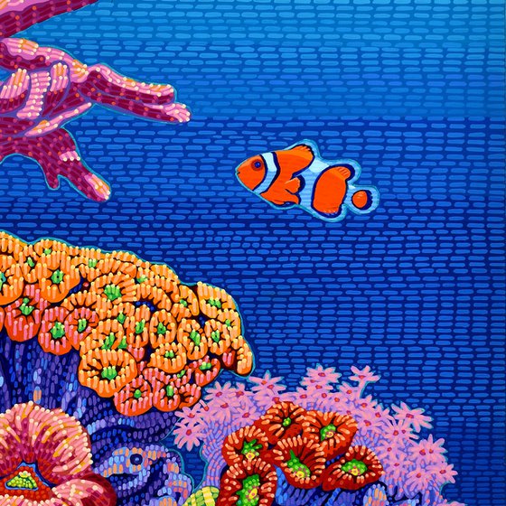 Coral Garden