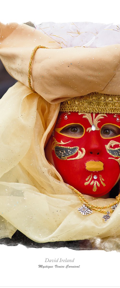 Mystique Venice Carnival by David Ireland LRPS