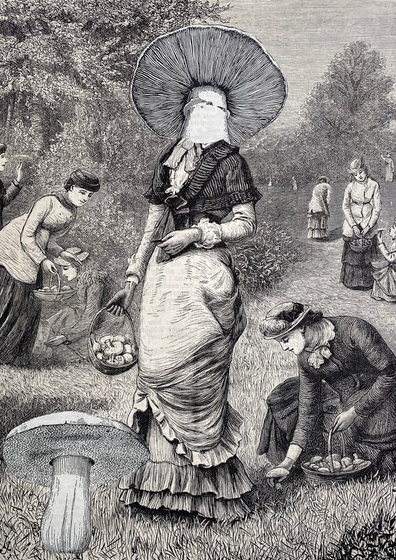 Friends picking mushrooms