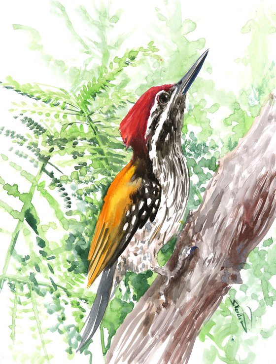 black-rumped flameback woodpecker, original watercolor painting